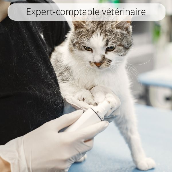 Expert-comptable vétérinaire