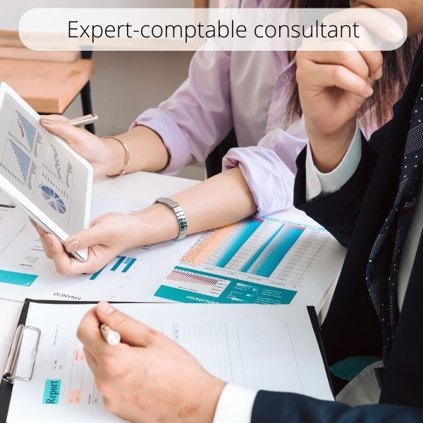 Expert-comptable consultant