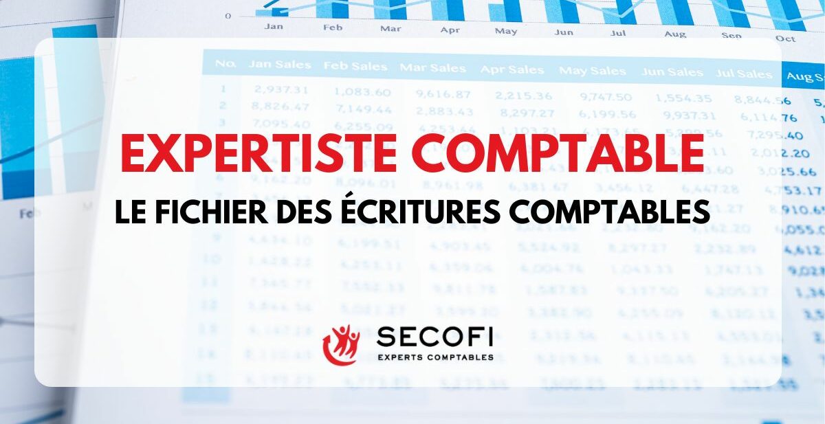 Le FEC : Fichier des écritures comptables