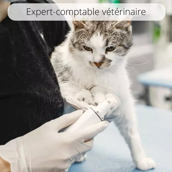 Expert-comptable vétérinaire