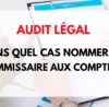 cas de nomination d'un commissaire aux comptes