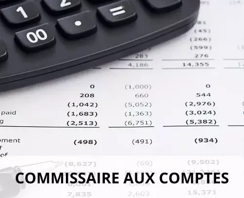 commissaire aux comptes entreprise de formation