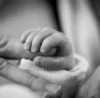 congé naissance PLFSS 2026