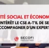intérêt du CSE à avoir un expert comptable