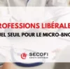 seuil micro-BNC 2024 2025