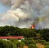 aide entreprise incendies forets 2026