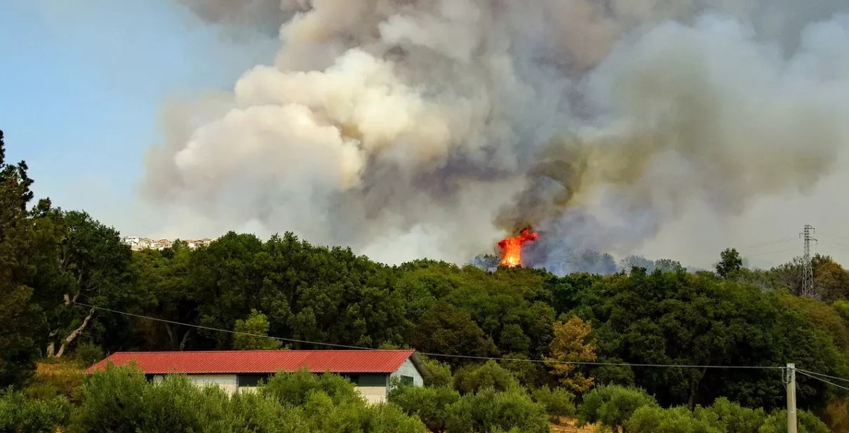 aide entreprise incendies forets 2026