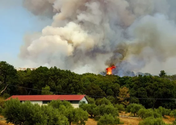 aide entreprise incendies forets 2026